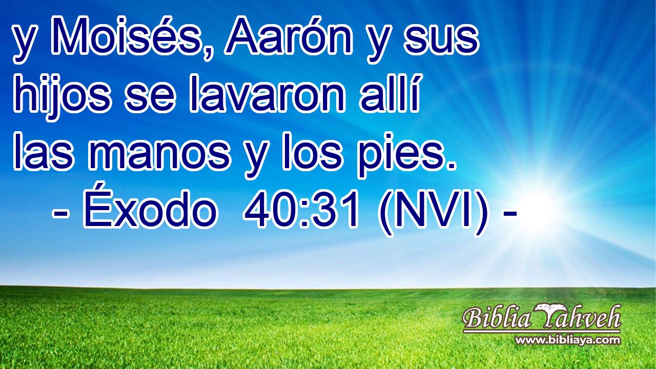  y Moisés, Aarón y sus hijos se lavaron allí las manos y los pies. 
