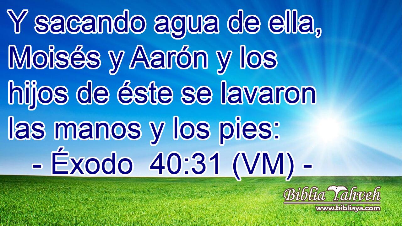  Y sacando agua de ella, Moisés y Aarón y los hijos de éste se lavaron las manos y los pies: 