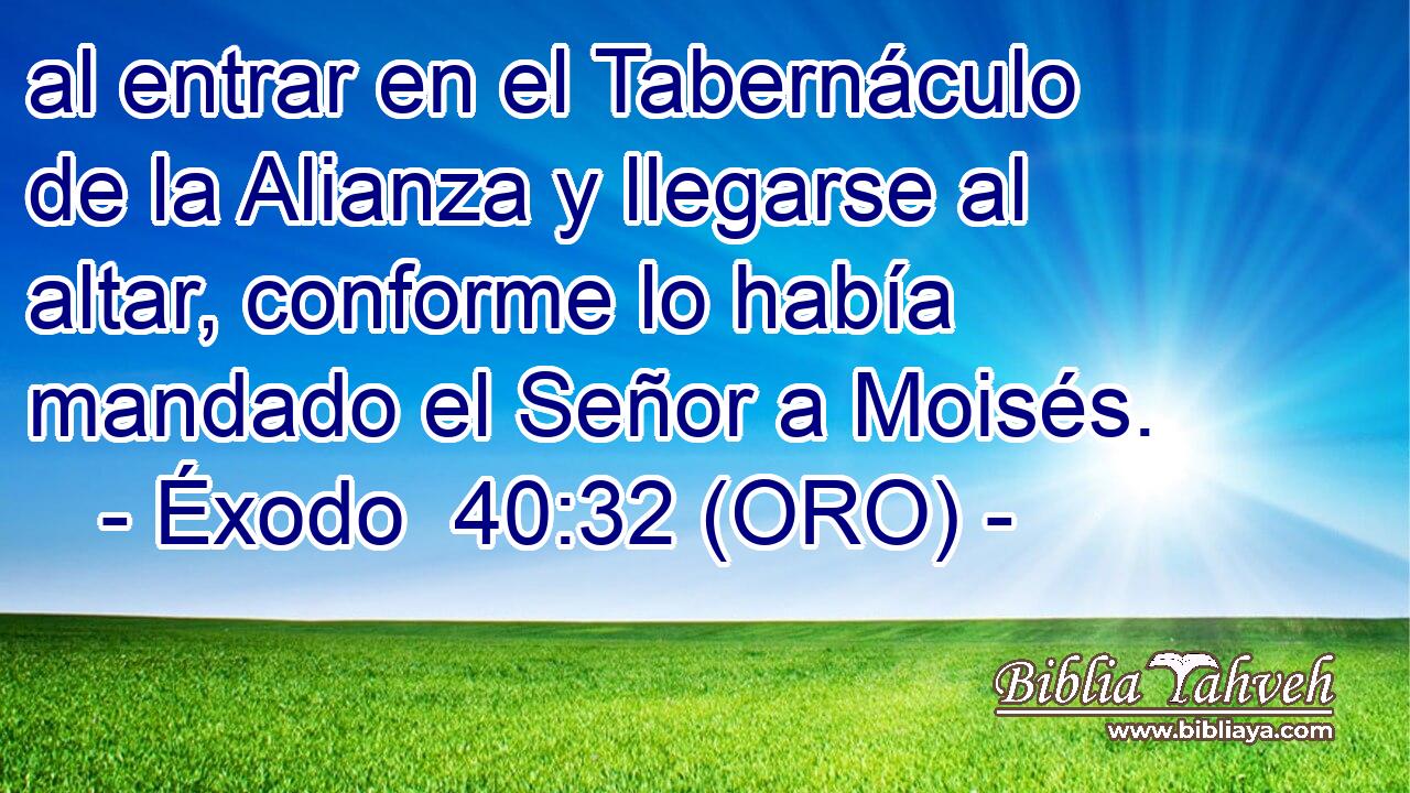  al entrar en el Tabernáculo de la Alianza y llegarse al altar, conforme lo había mandado el Señor a Moisés. 