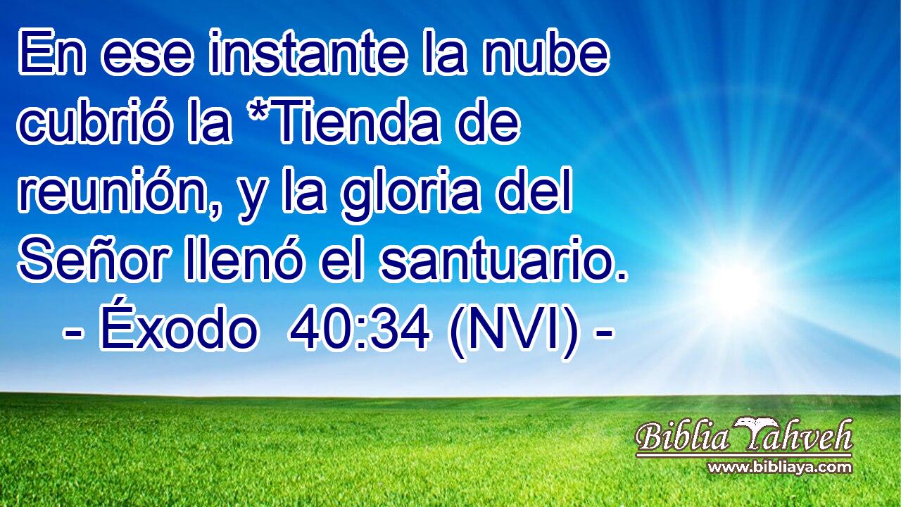  En ese instante la nube cubrió la *Tienda de reunión, y la gloria del Señor llenó el santuario. 