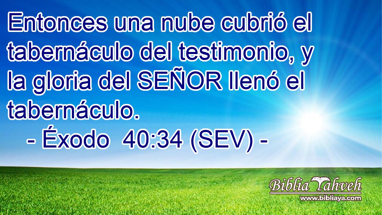 Entonces una nube cubrió el tabernáculo del testimonio, y la gloria del SEÑOR llenó el tabernáculo.