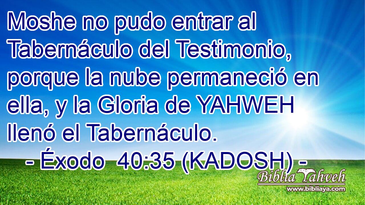  Moshe no pudo entrar al Tabernáculo del Testimonio, porque la nube permaneció en ella, y la Gloria de YAHWEH llenó el Tabernáculo. 