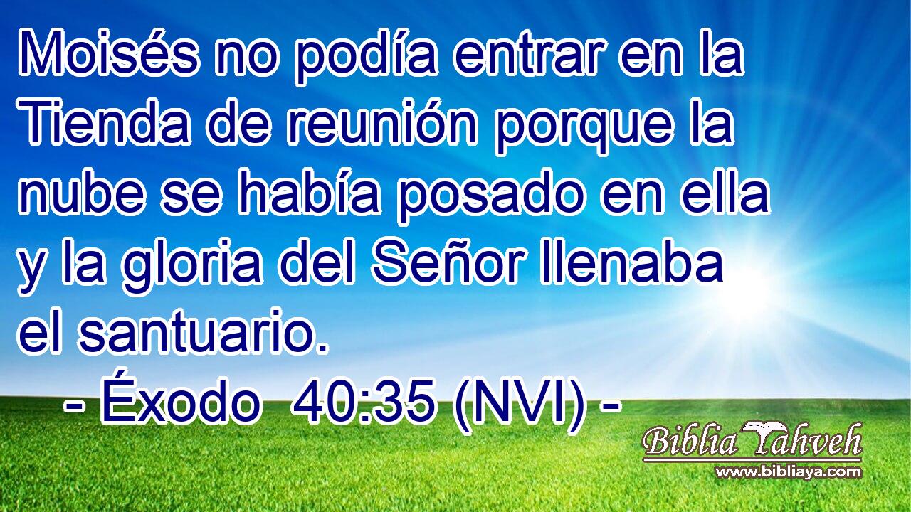  Moisés no podía entrar en la Tienda de reunión porque la nube se había posado en ella y la gloria del Señor llenaba el santuario. 