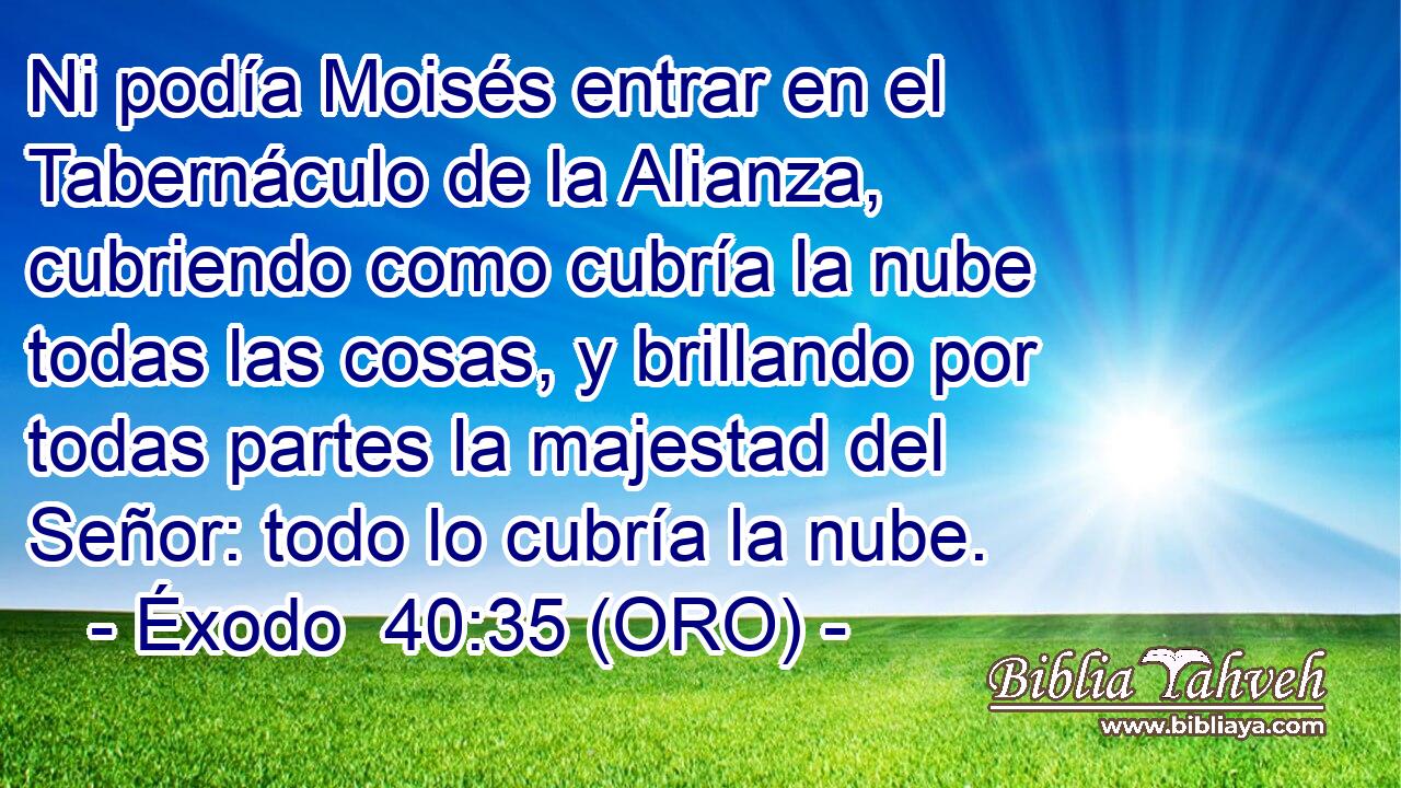  Ni podía Moisés entrar en el Tabernáculo de la Alianza, cubriendo como cubría la nube todas las cosas, y brillando por todas partes la majestad del Señor: todo lo cubría la nube. 