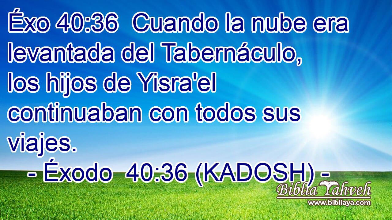  Cuando la nube era levantada del Tabernáculo, los hijos de Yisra'el continuaban con todos sus viajes. 