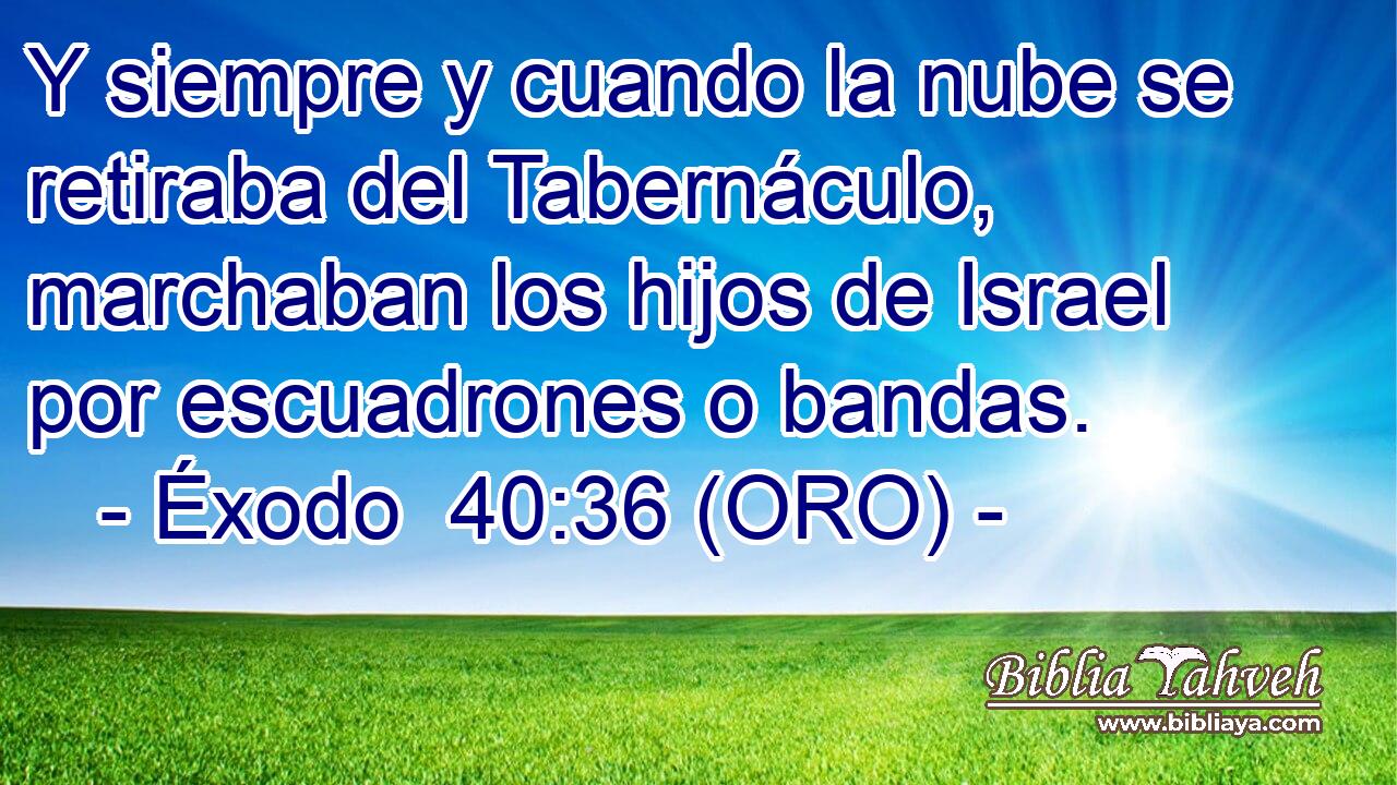  Y siempre y cuando la nube se retiraba del Tabernáculo, marchaban los hijos de Israel por escuadrones o bandas. 
