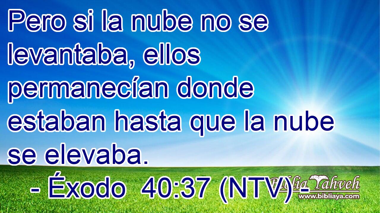 Pero si la nube no se levantaba, ellos permanecían donde estaban hasta que la nube se elevaba.