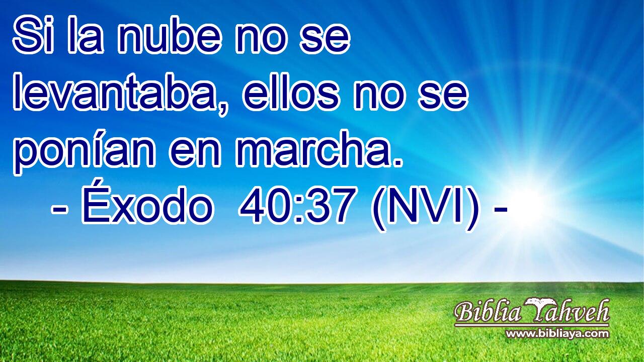  Si la nube no se levantaba, ellos no se ponían en marcha. 