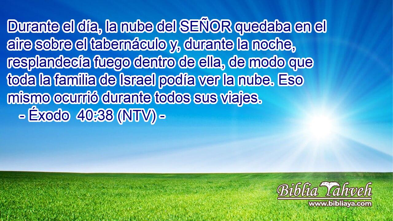 Durante el día, la nube del SEÑOR quedaba en el aire sobre el tabernáculo y, durante la noche, resplandecía fuego dentro de ella, de modo que toda la familia de Israel podía ver la nube. Eso mismo ocurrió durante todos sus viajes.
