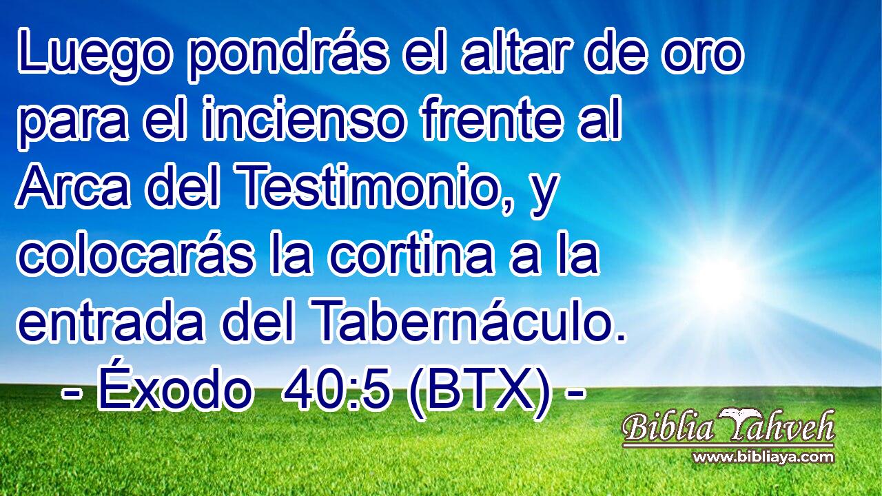 Luego pondrás el altar de oro para el incienso frente al Arca del Testimonio, y colocarás la cortina a la entrada del Tabernáculo.