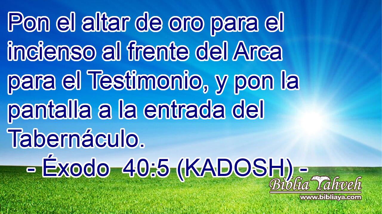  Pon el altar de oro para el incienso al frente del Arca para el Testimonio, y pon la pantalla a la entrada del Tabernáculo. 
