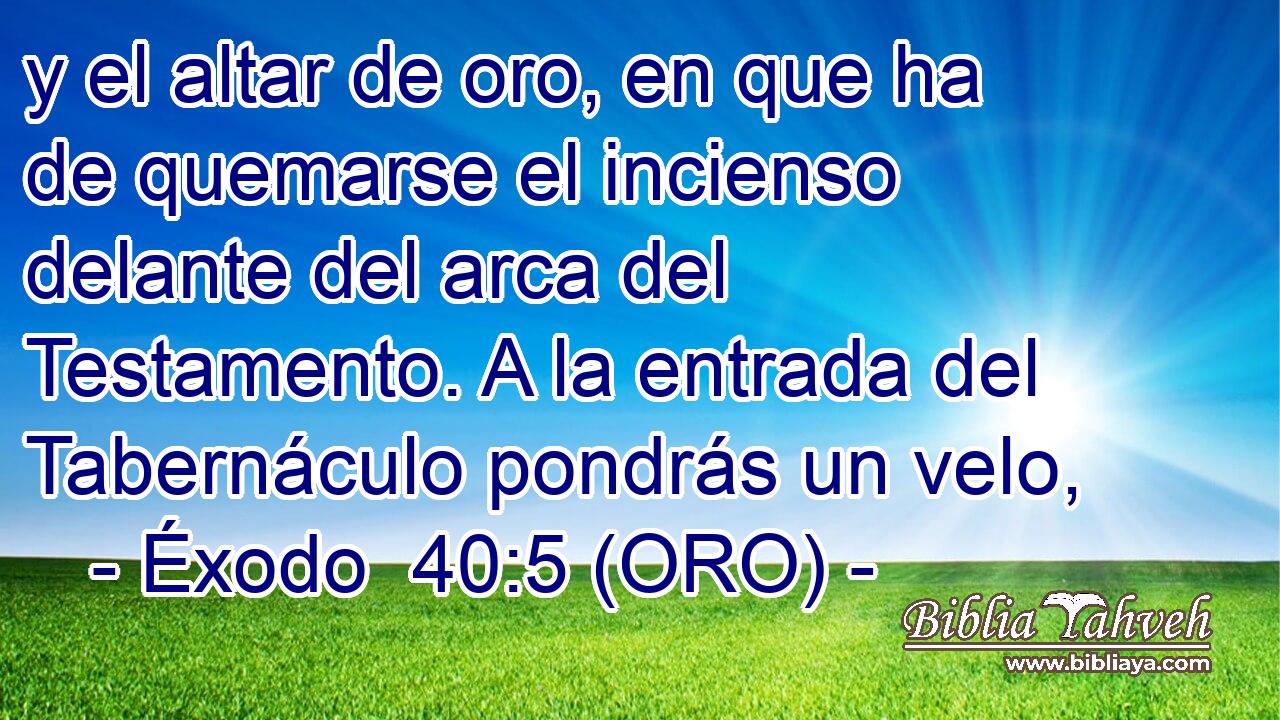  y el altar de oro, en que ha de quemarse el incienso delante del arca del Testamento. A la entrada del Tabernáculo pondrás un velo, 