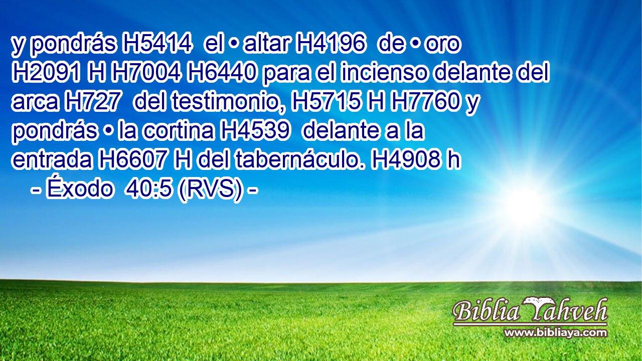 y pondrás H5414  el • altar H4196  de • oro H2091 H H7004 H6440 para el incienso delante del arca H727  del testimonio, H5715 H H7760 y pondrás • la cortina H4539  delante a la entrada H6607 H del tabernáculo. H4908 h 