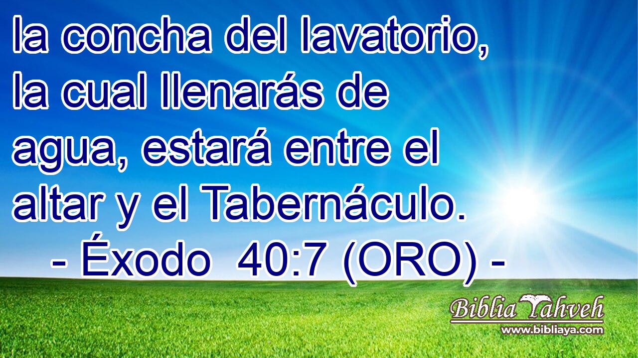  la concha del lavatorio, la cual llenarás de agua, estará entre el altar y el Tabernáculo. 