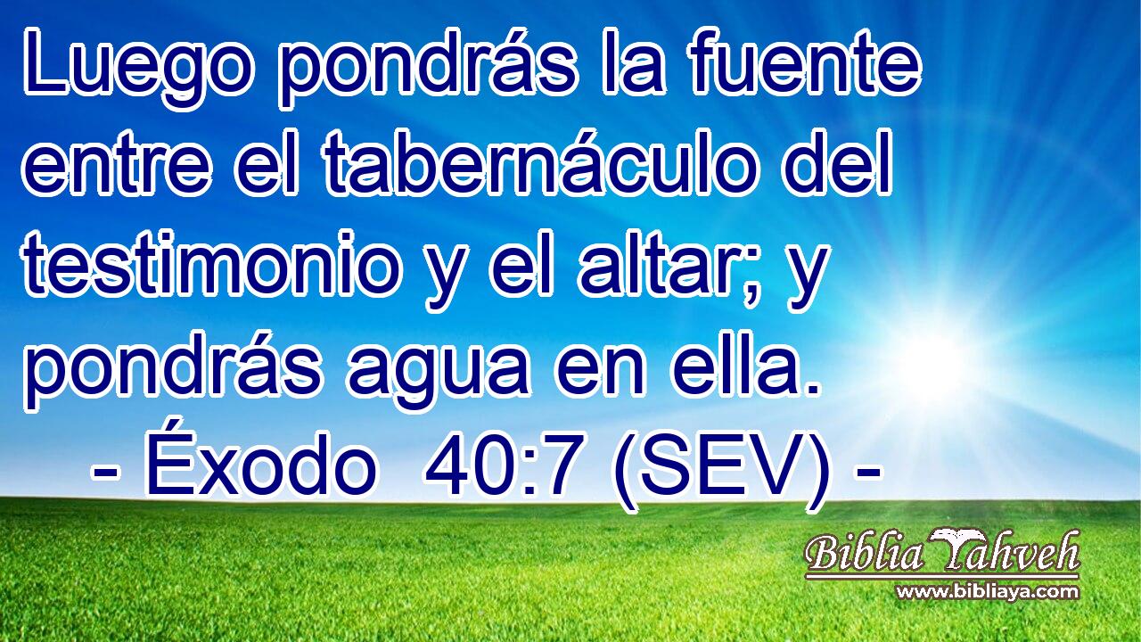 Luego pondrás la fuente entre el tabernáculo del testimonio y el altar; y pondrás agua en ella.