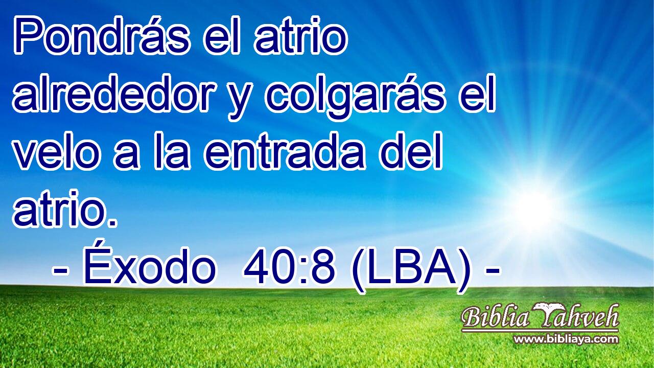 Pondrás el atrio alrededor y colgarás el velo a la entrada del atrio.