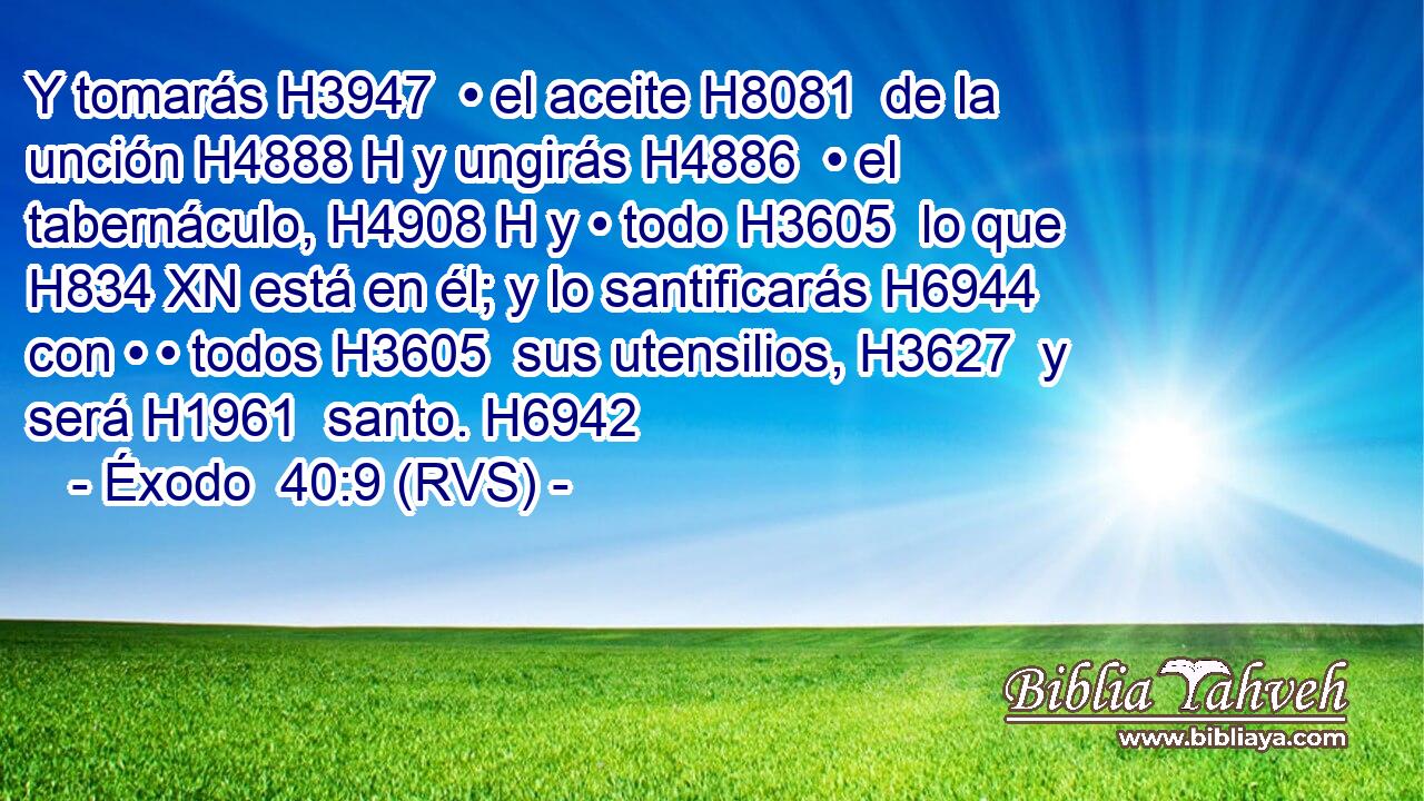 Y tomarás H3947  • el aceite H8081  de la unción H4888 H y ungirás H4886  • el tabernáculo, H4908 H y • todo H3605  lo que H834 XN está en él; y lo santificarás H6944  con • • todos H3605  sus utensilios, H3627  y será H1961  santo. H6942  