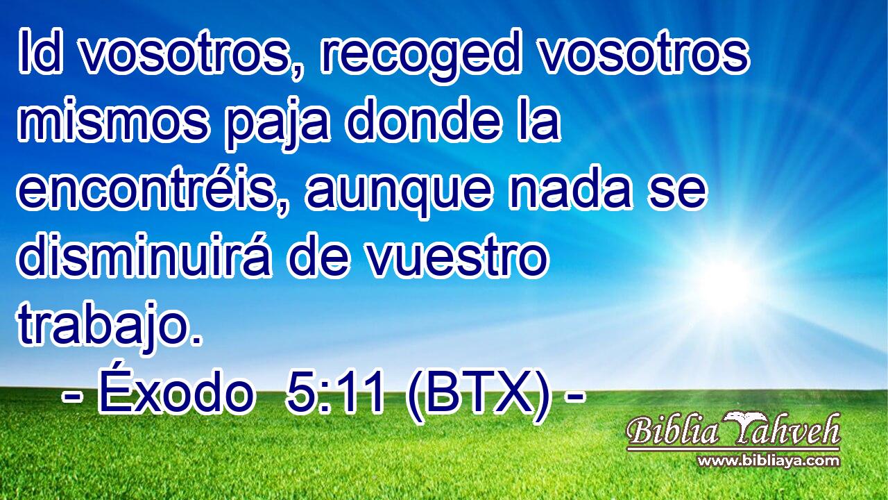 Id vosotros, recoged vosotros mismos paja donde la encontréis, aunque nada se disminuirá de vuestro trabajo.