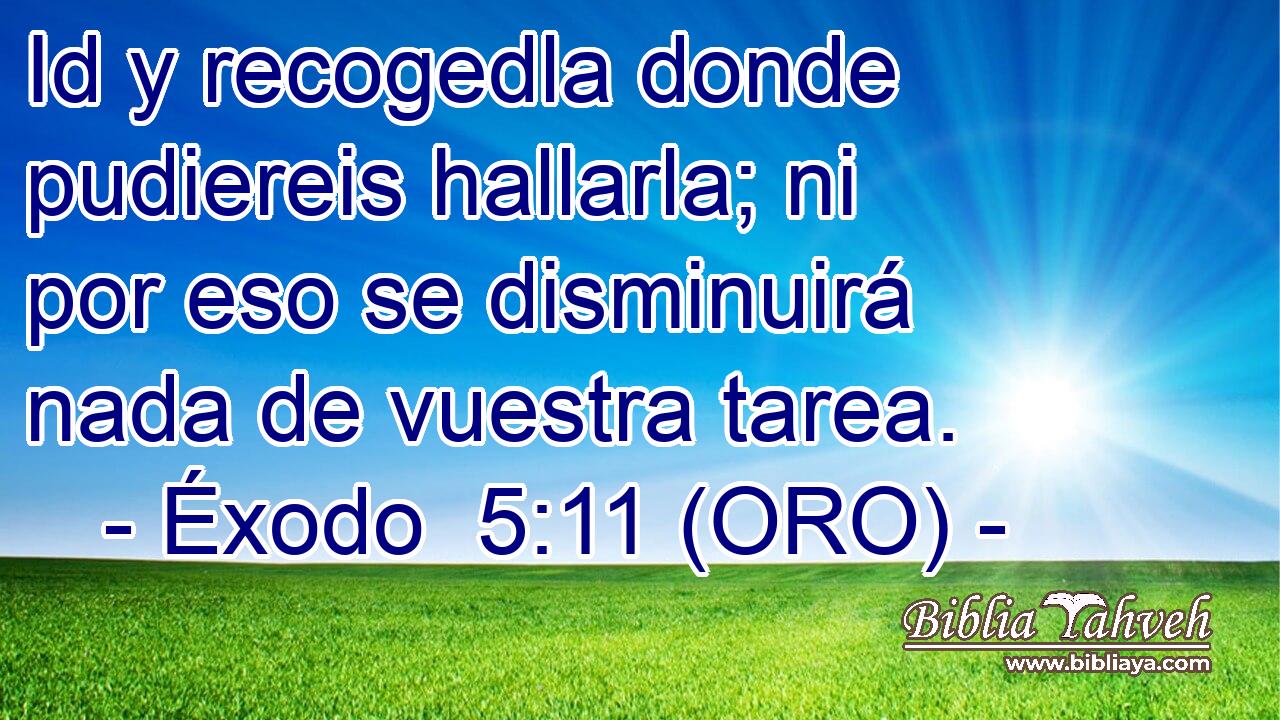 Id y recogedla donde pudiereis hallarla; ni por eso se disminuirá nada de vuestra tarea. 