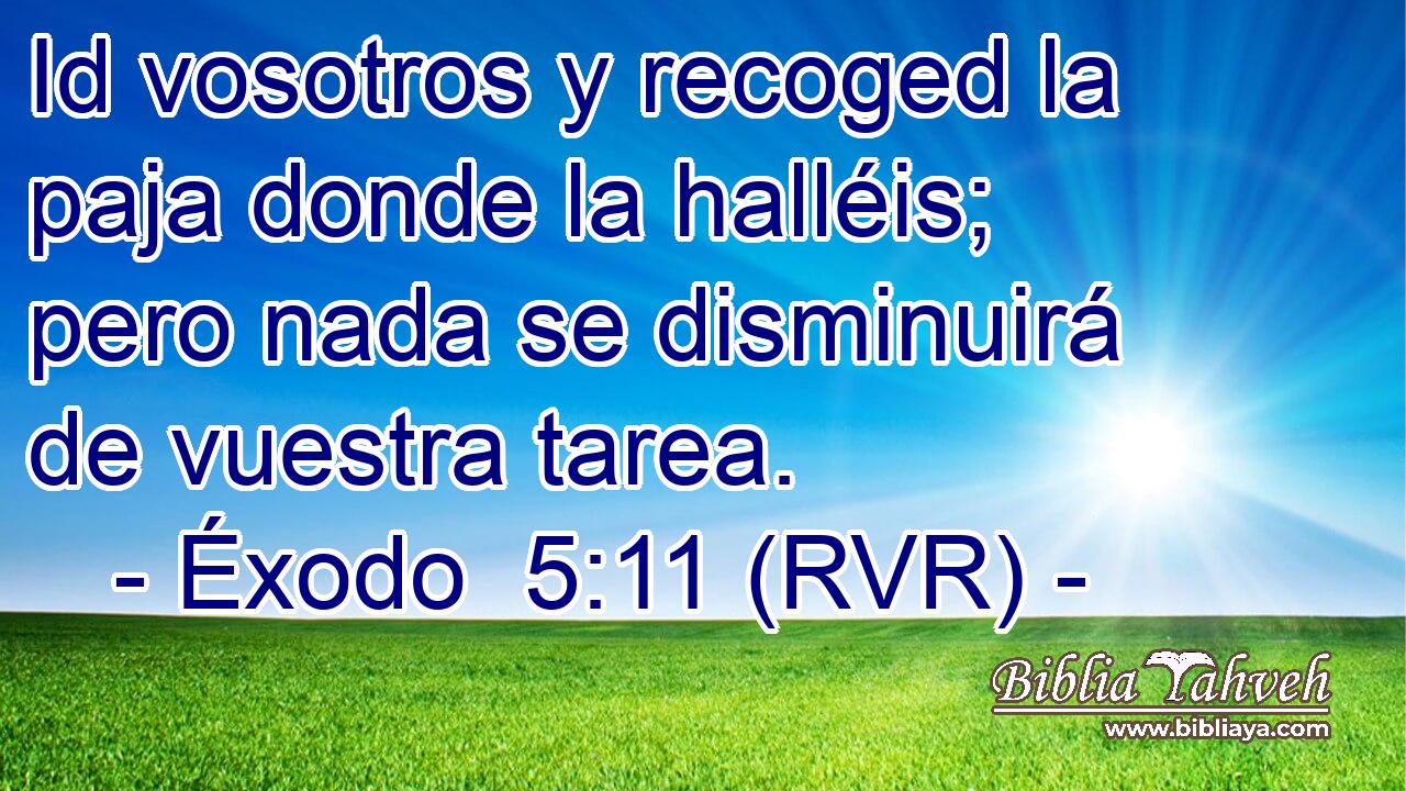 Id vosotros y recoged la paja donde la halléis; pero nada se disminuirá de vuestra tarea.
