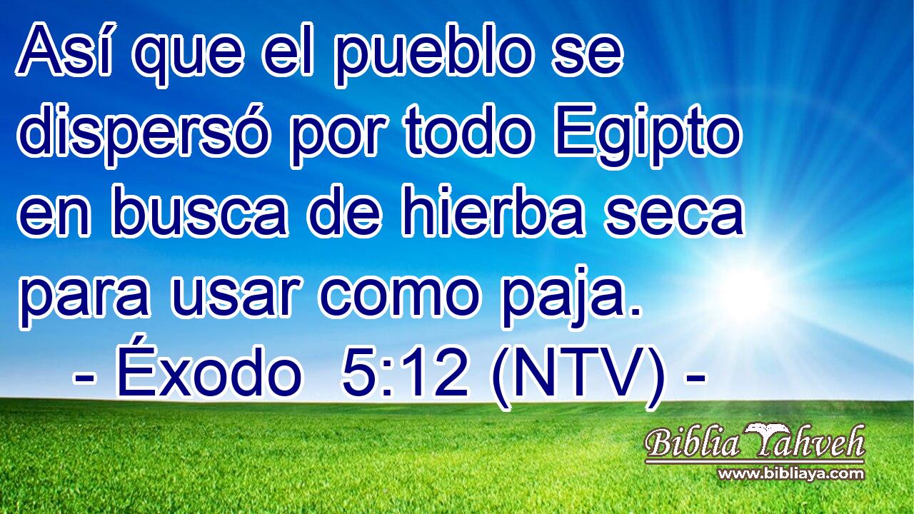 Así que el pueblo se dispersó por todo Egipto en busca de hierba seca para usar como paja.