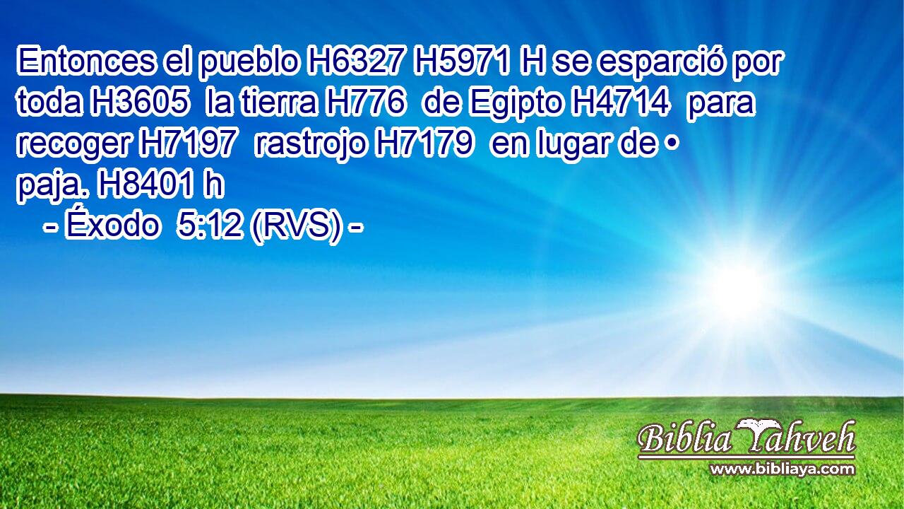 Entonces el pueblo H6327 H5971 H se esparció por toda H3605  la tierra H776  de Egipto H4714  para recoger H7197  rastrojo H7179  en lugar de • paja. H8401 h 