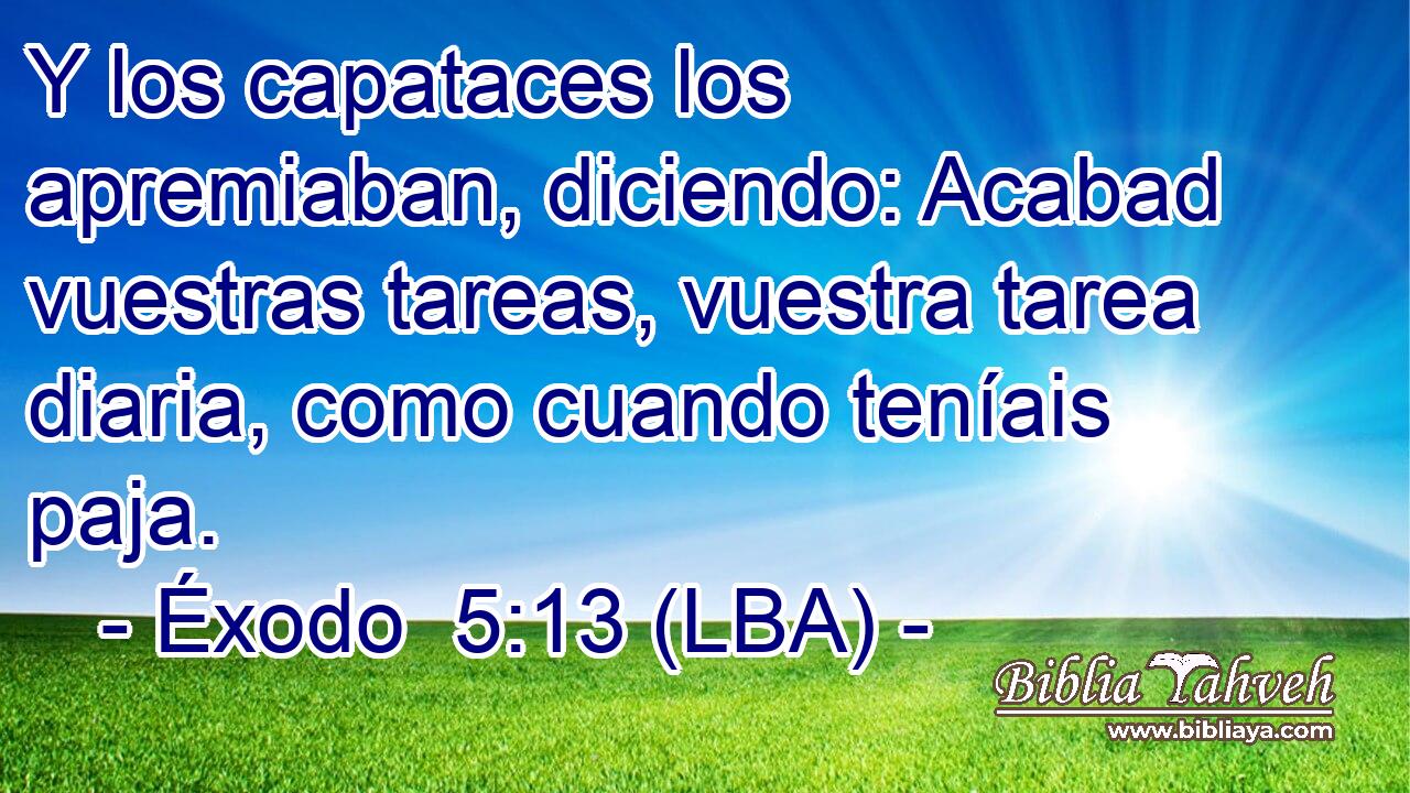 Y los capataces los apremiaban, diciendo: Acabad vuestras tareas, vuestra tarea diaria, como cuando teníais paja.
