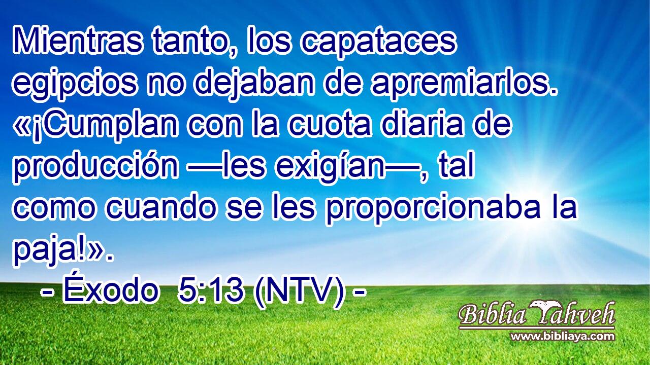Mientras tanto, los capataces egipcios no dejaban de apremiarlos. «¡Cumplan con la cuota diaria de producción —les exigían—, tal como cuando se les proporcionaba la paja!».