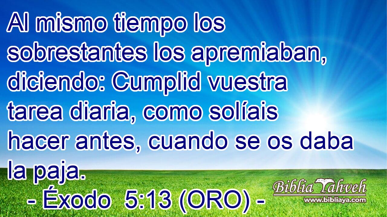  Al mismo tiempo los sobrestantes los apremiaban, diciendo: Cumplid vuestra tarea diaria, como solíais hacer antes, cuando se os daba la paja. 