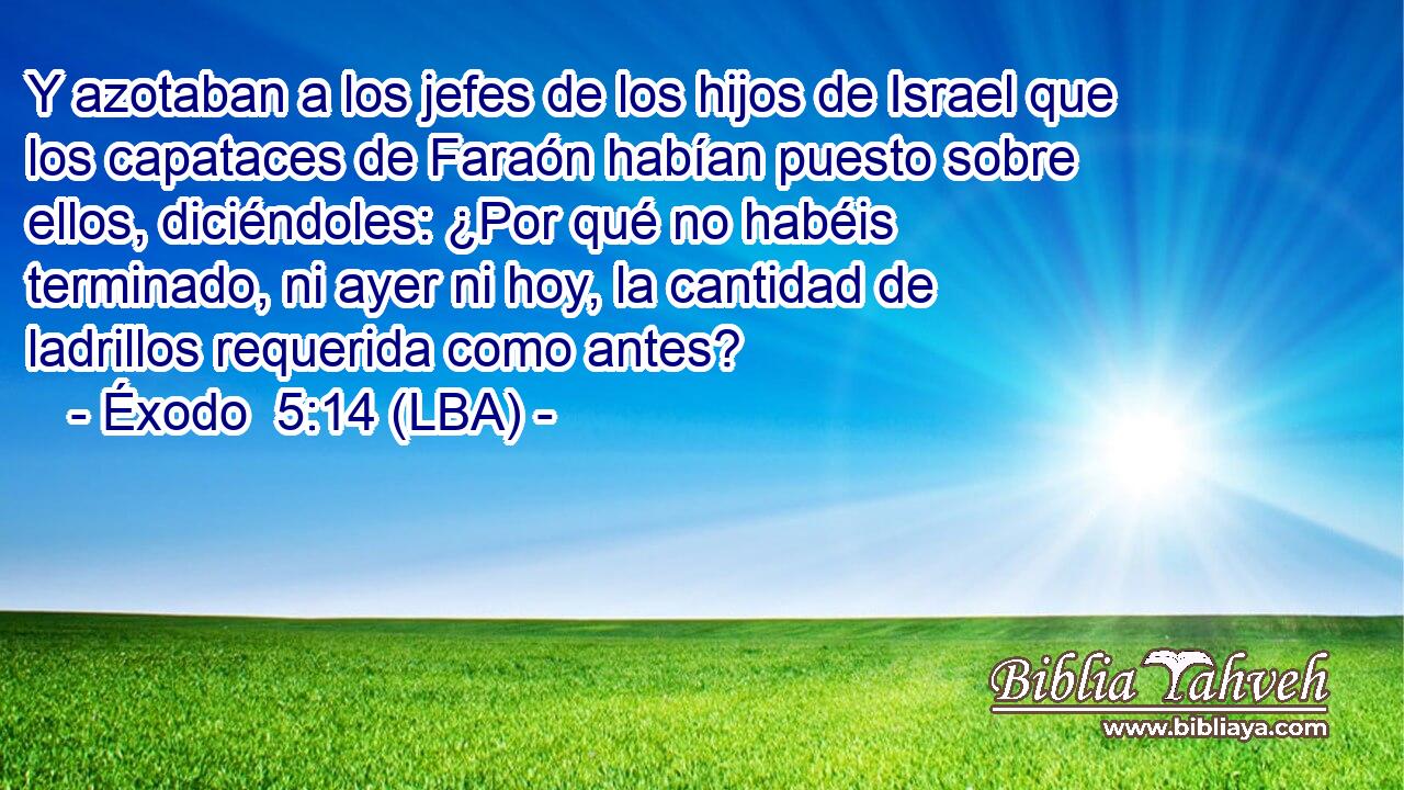 Y azotaban a los jefes de los hijos de Israel que los capataces de Faraón habían puesto sobre ellos, diciéndoles: ¿Por qué no habéis terminado, ni ayer ni hoy, la cantidad de ladrillos requerida como antes?