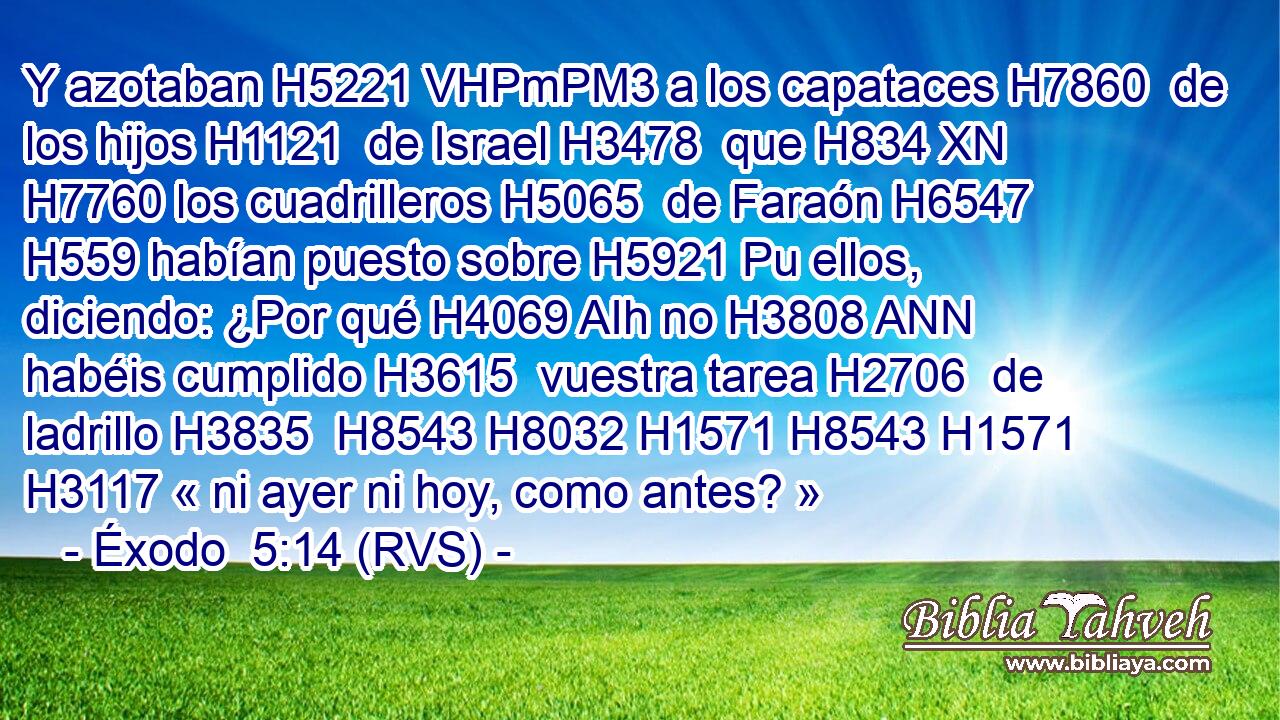 Y azotaban H5221 VHPmPM3 a los capataces H7860  de los hijos H1121  de Israel H3478  que H834 XN H7760 los cuadrilleros H5065  de Faraón H6547  H559 habían puesto sobre H5921 Pu ellos, diciendo: ¿Por qué H4069 AIh no H3808 ANN habéis cumplido H3615  vuestra tarea H2706  de ladrillo H3835  H8543 H8032 H1571 H8543 H1571 H3117 « ni ayer ni hoy, como antes? » 