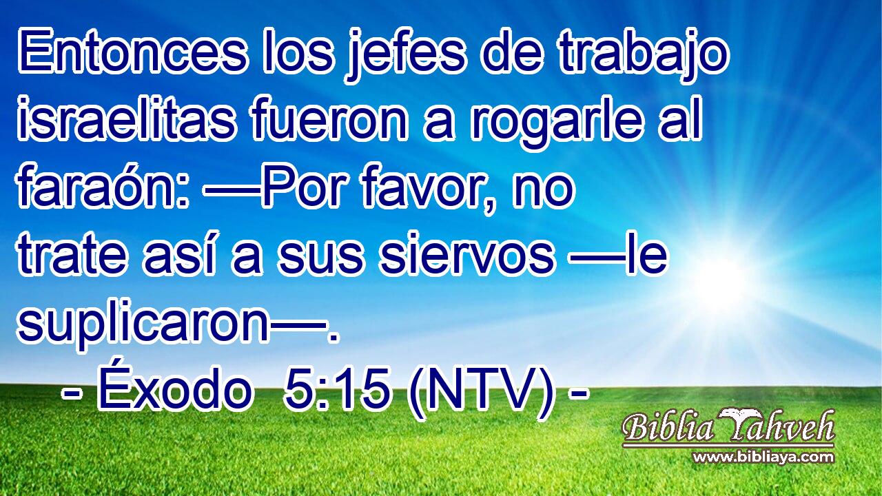 Entonces los jefes de trabajo israelitas fueron a rogarle al faraón: —Por favor, no trate así a sus siervos —le suplicaron—.
