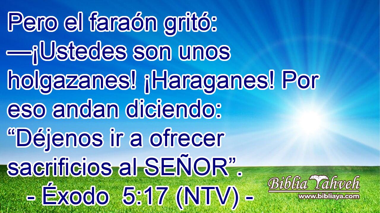 Pero el faraón gritó: —¡Ustedes son unos holgazanes! ¡Haraganes! Por eso andan diciendo: “Déjenos ir a ofrecer sacrificios al SEÑOR”.