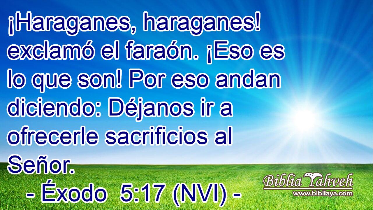  ¡Haraganes, haraganes! exclamó el faraón. ¡Eso es lo que son! Por eso andan diciendo: Déjanos ir a ofrecerle sacrificios al Señor. 
