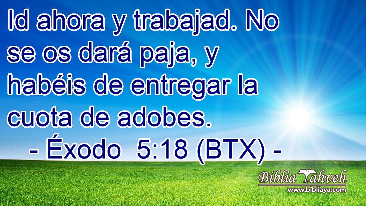 Id ahora y trabajad. No se os dará paja, y habéis de entregar la cuota de adobes.