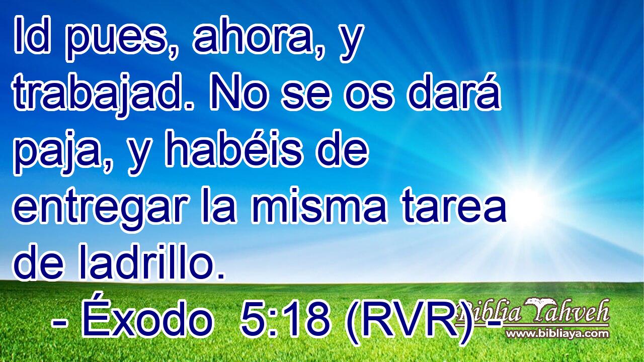 Id pues, ahora, y trabajad. No se os dará paja, y habéis de entregar la misma tarea de ladrillo.
