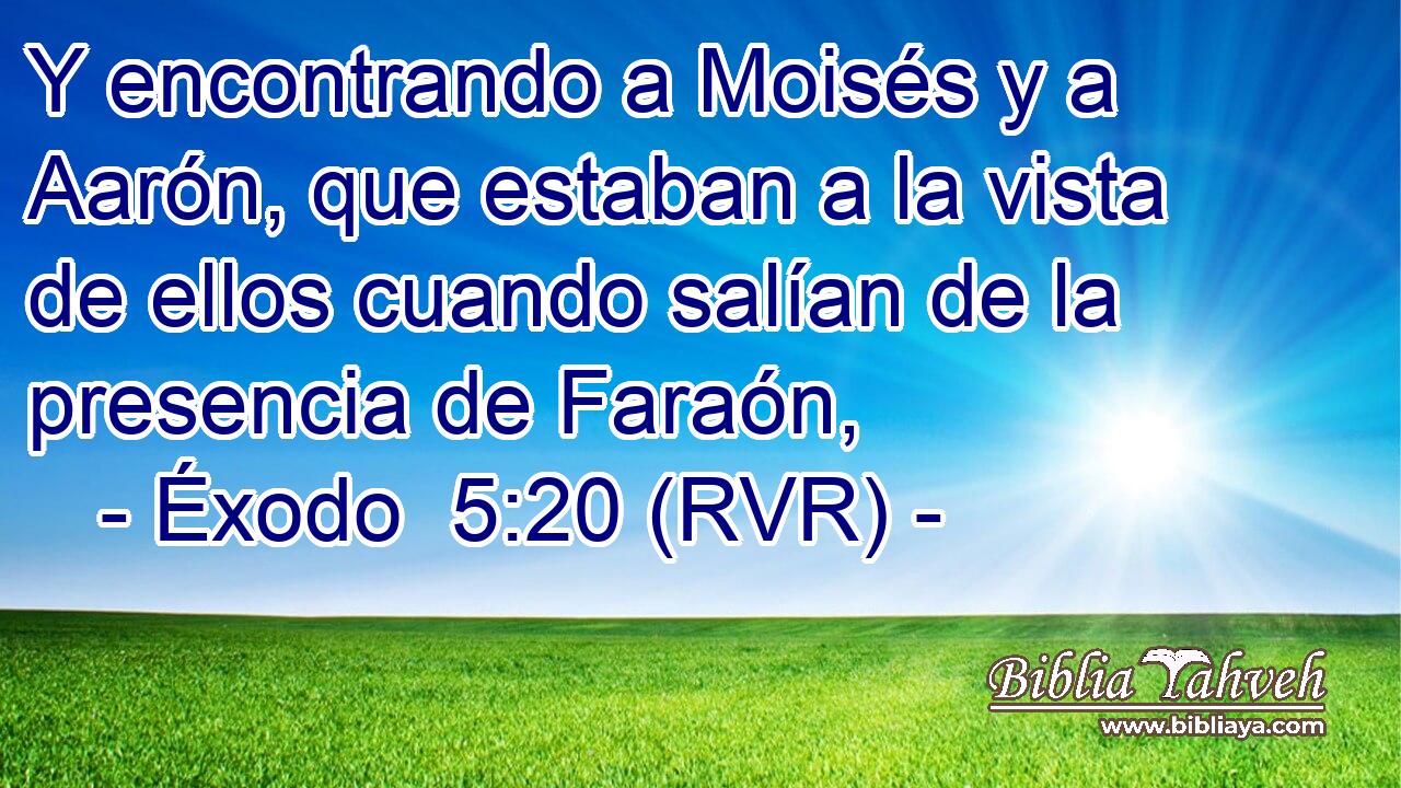 Y encontrando a Moisés y a Aarón, que estaban a la vista de ellos cuando salían de la presencia de Faraón,
