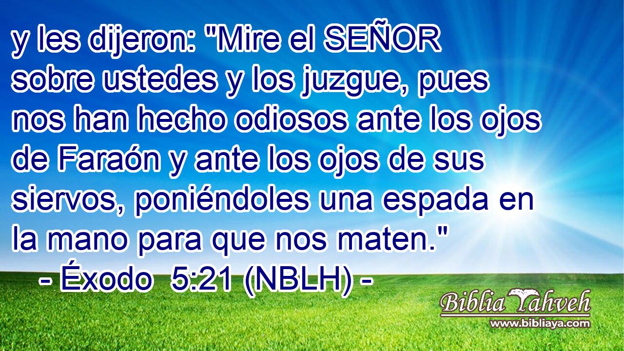  y les dijeron: 
