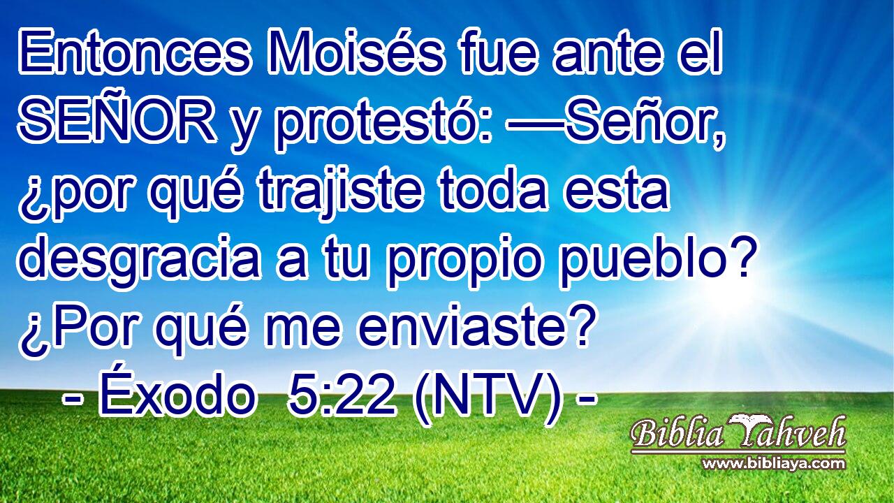 Entonces Moisés fue ante el SEÑOR y protestó: —Señor, ¿por qué trajiste toda esta desgracia a tu propio pueblo? ¿Por qué me enviaste?