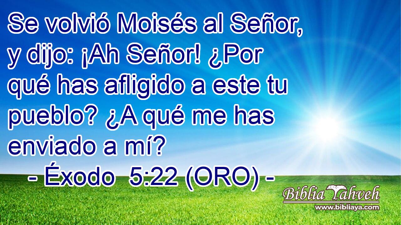  Se volvió Moisés al Señor, y dijo: ¡Ah Señor! ¿Por qué has afligido a este tu pueblo? ¿A qué me has enviado a mí? 