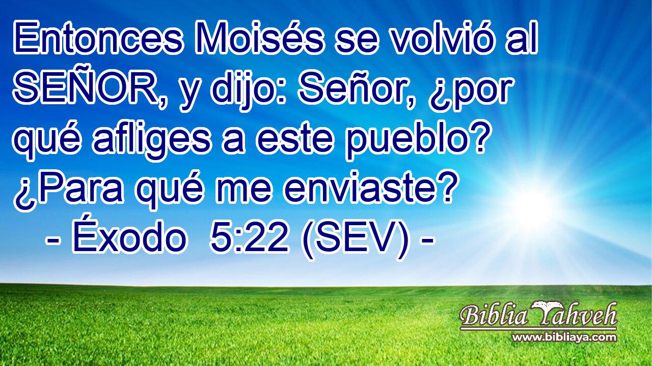 Entonces Moisés se volvió al SEÑOR, y dijo: Señor, ¿por qué afliges a este pueblo? ¿Para qué me enviaste?