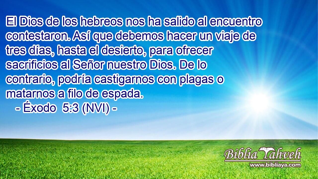  El Dios de los hebreos nos ha salido al encuentro contestaron. Así que debemos hacer un viaje de tres días, hasta el desierto, para ofrecer sacrificios al Señor nuestro Dios. De lo contrario, podría castigarnos con plagas o matarnos a filo de espada. 