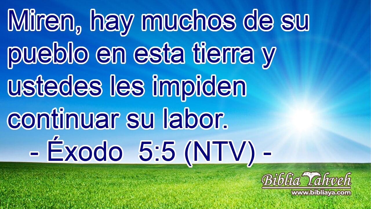 Miren, hay muchos de su pueblo en esta tierra y ustedes les impiden continuar su labor.