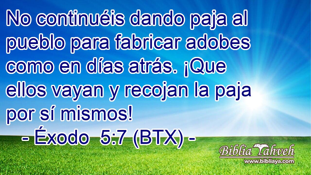 No continuéis dando paja al pueblo para fabricar adobes como en días atrás. ¡Que ellos vayan y recojan la paja por sí mismos!