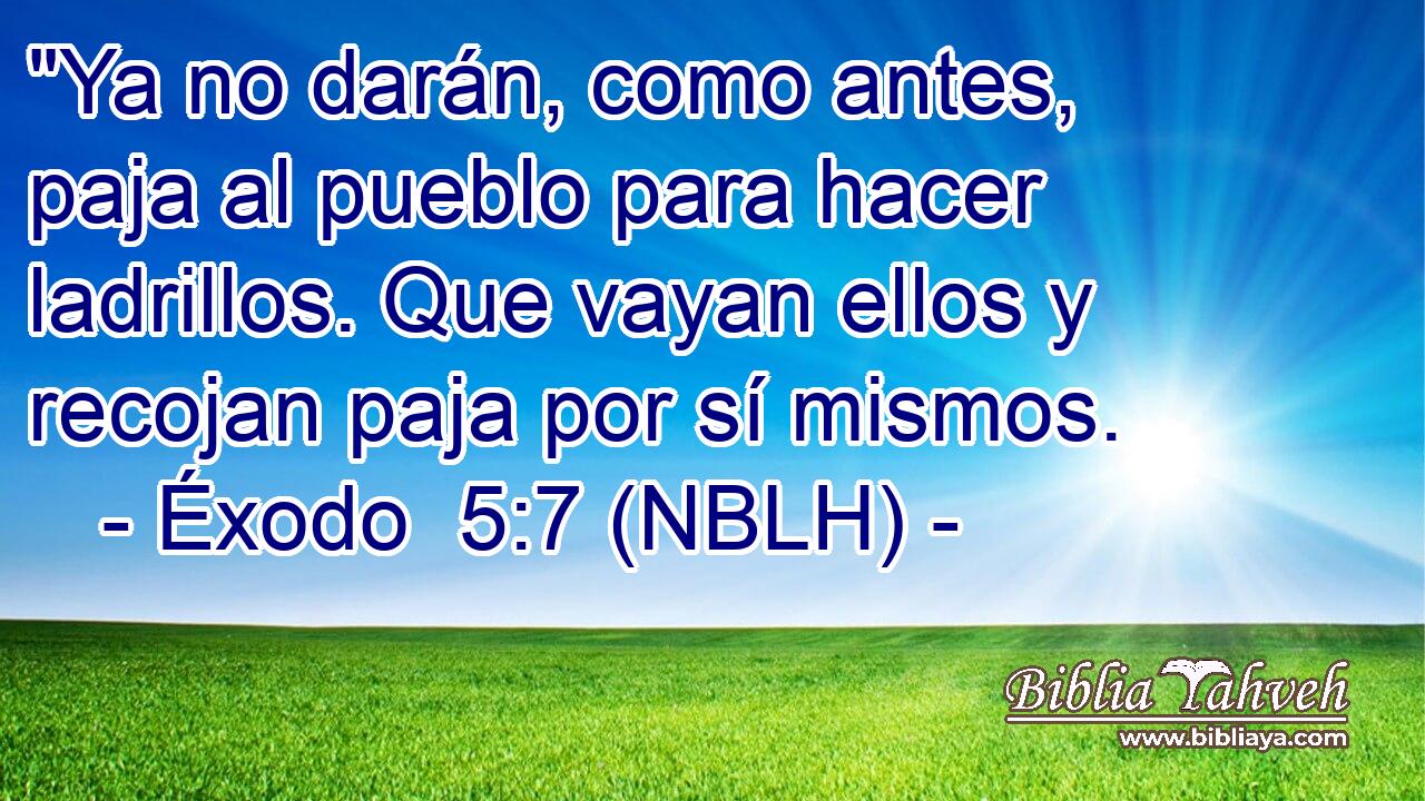  Entonces Jesús les dijo: 