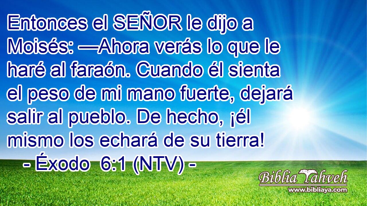 Entonces el SEÑOR le dijo a Moisés: —Ahora verás lo que le haré al faraón. Cuando él sienta el peso de mi mano fuerte, dejará salir al pueblo. De hecho, ¡él mismo los echará de su tierra!