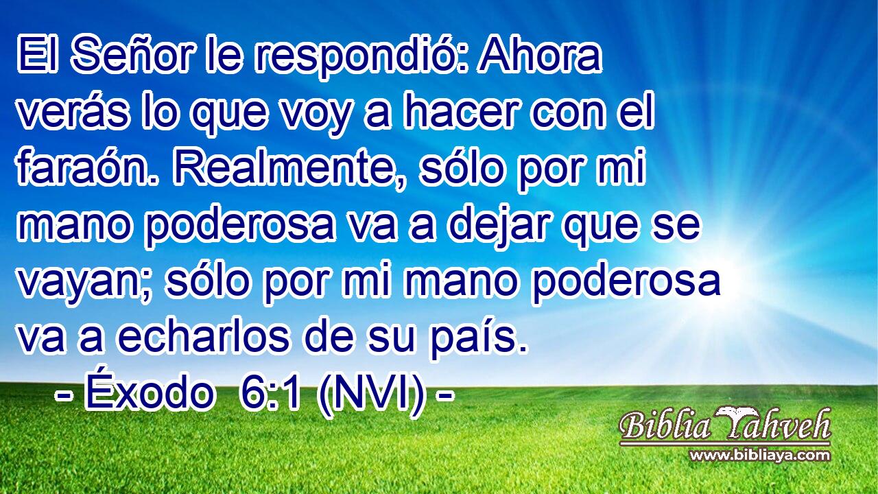  El Señor le respondió: Ahora verás lo que voy a hacer con el faraón. Realmente, sólo por mi mano poderosa va a dejar que se vayan; sólo por mi mano poderosa va a echarlos de su país. 