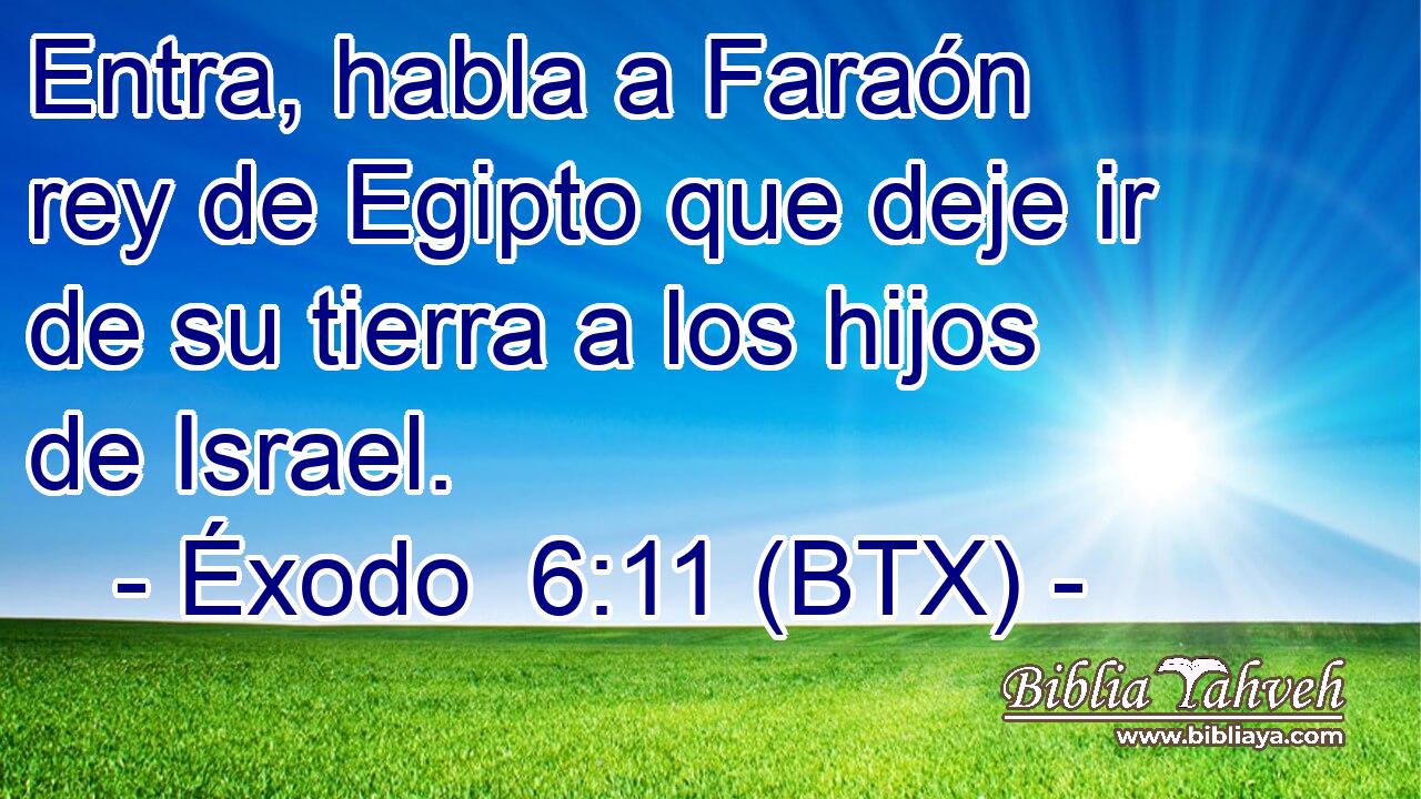 Entra, habla a Faraón rey de Egipto que deje ir de su tierra a los hijos de Israel.