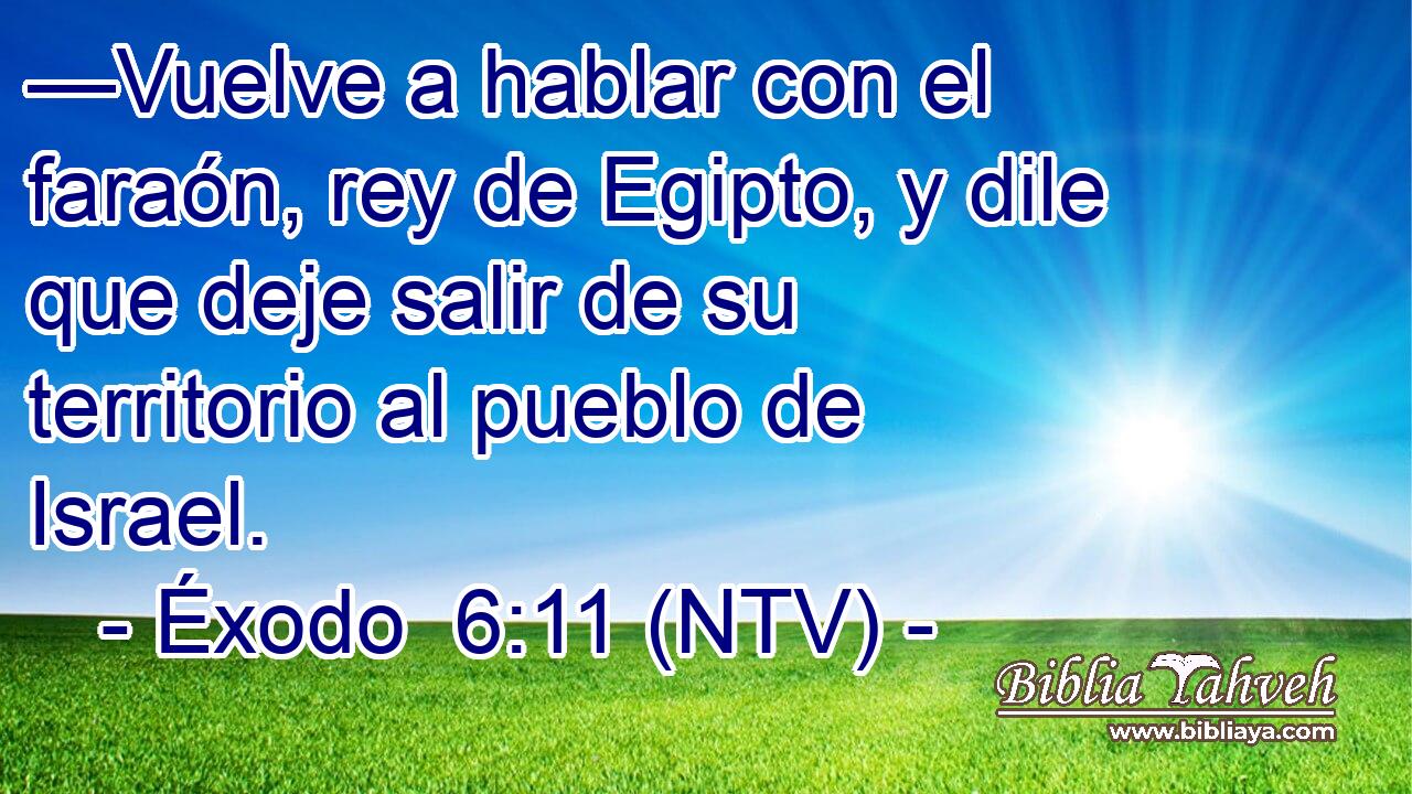 —Vuelve a hablar con el faraón, rey de Egipto, y dile que deje salir de su territorio al pueblo de Israel.