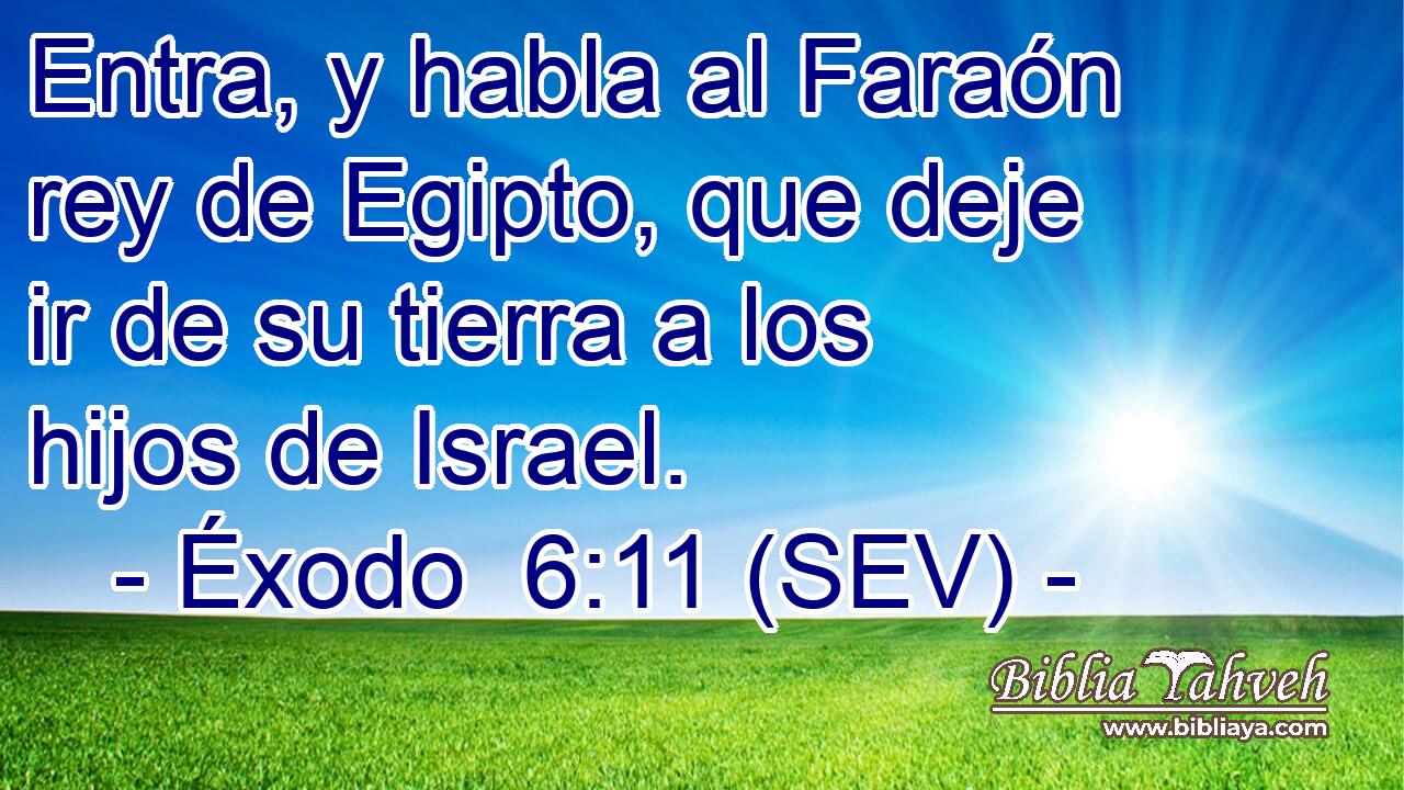 Entra, y habla al Faraón rey de Egipto, que deje ir de su tierra a los hijos de Israel.